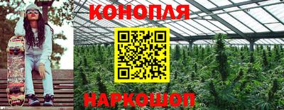 ГАЛЛЮЦИНОГЕННЫЕ ГРИБЫ Кулебаки