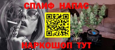 ГАЛЛЮЦИНОГЕННЫЕ ГРИБЫ Кулебаки