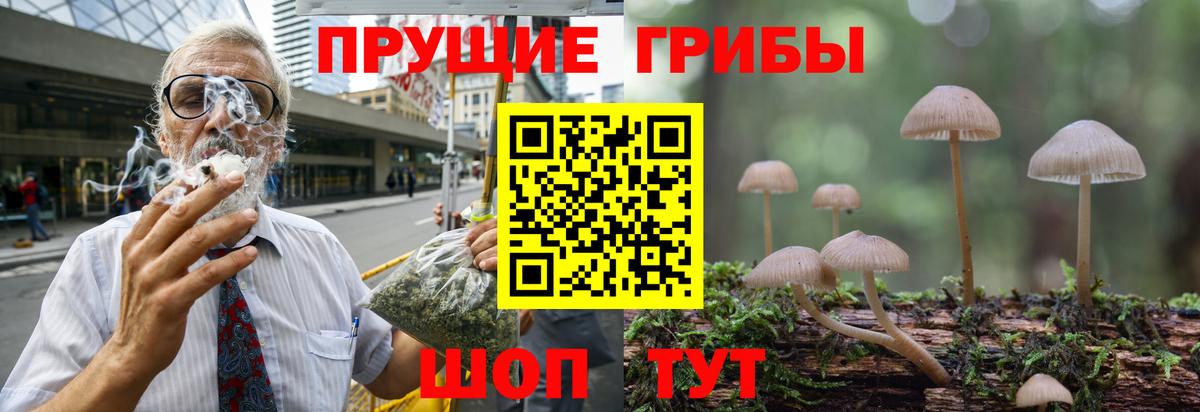 Галлюциногенные грибы прущие грибы  Вход с VPN  Железногорск 